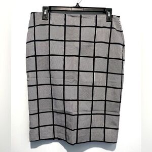 Ann Taylor Pencil Skirt